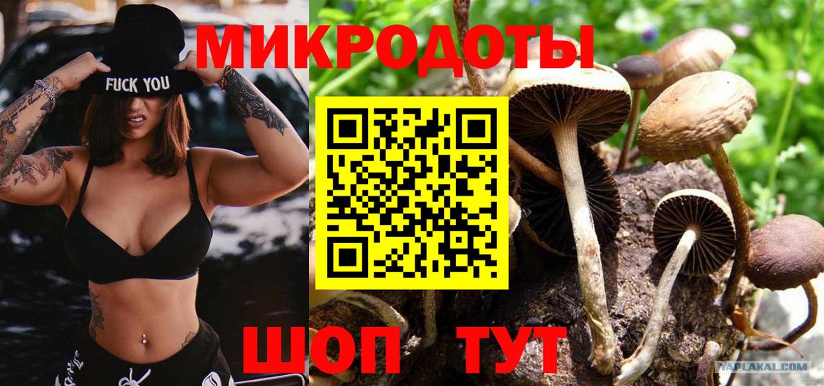 Галлюциногенные грибы GOLDEN TEACHER Миллерово