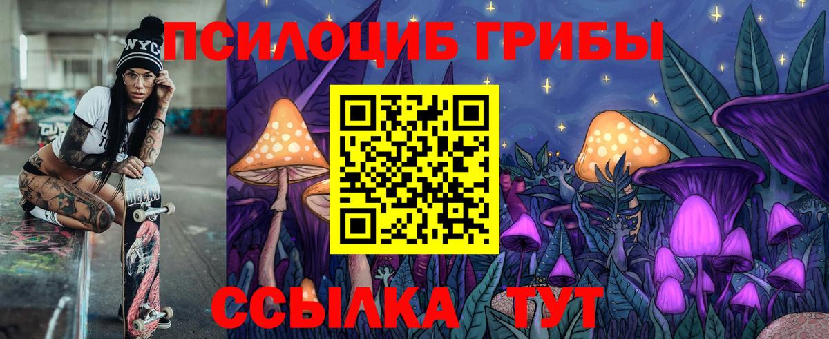 купить наркотик  Галлюциногенные грибы Psilocybe  Вход с VPN  Миллерово 